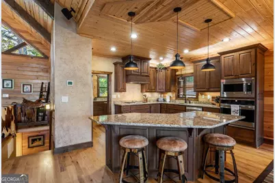 215 Snake Nation Overlook, Blue Ridge, GA 30513 - Photo 16