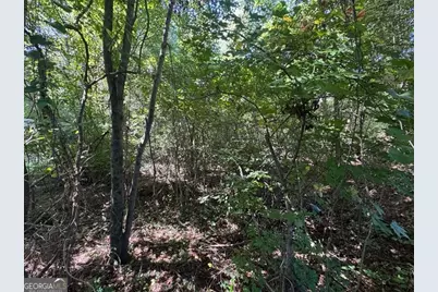 63 Hickory Creek Lane, Acworth, GA 30101 - Photo 12