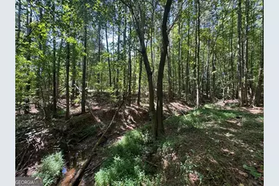 63 Hickory Creek Lane, Acworth, GA 30101 - Photo 8