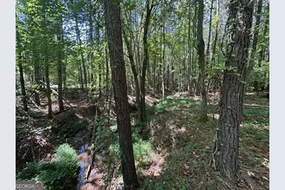 63 Hickory Creek Lane, Acworth, GA 30101 - Photo 10