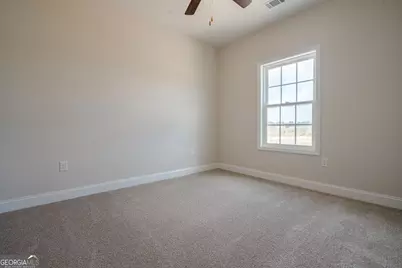276 Freshwater Lane NE, Ludowici, GA 31316 - Photo 34
