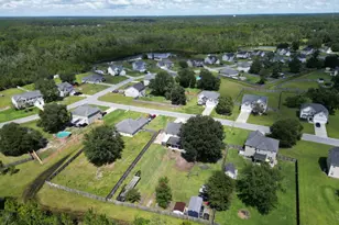 54 Cumberland Dr NE, Ludowici, GA 31316 - Photo 46