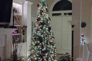 20 Mockingbird Ln, Oxford, GA 30054 - Photo 46