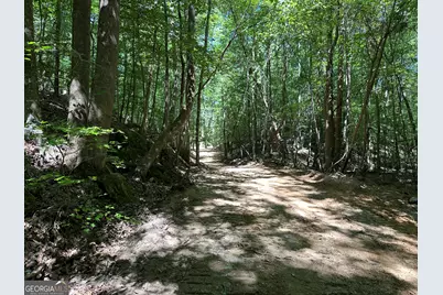0 Super Deluxe Road, Rockmart, GA 30153 - Photo 20