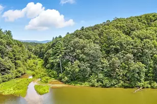 384 Mountain Laurel Dr, Ellijay, GA 30540 - Photo 14