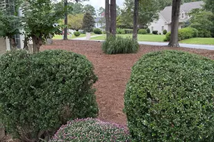 121 Tamerlane, Peachtree City, GA 30269 - Photo 54