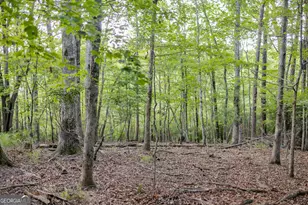 1063 Grindle Bridge Rd, Dahlonega, GA 30533 - Photo 24