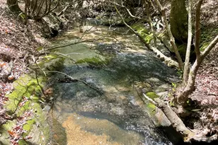 1063 Grindle Bridge Rd, Dahlonega, GA 30533 - Photo 28