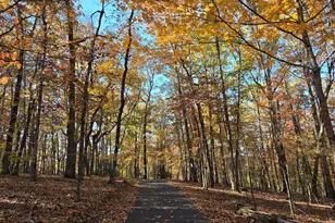 1063 Grindle Bridge Rd, Dahlonega, GA 30533 - Photo 34