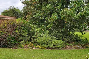 240 Lakewood Dr, Swainsboro, GA 30401 - Photo 4