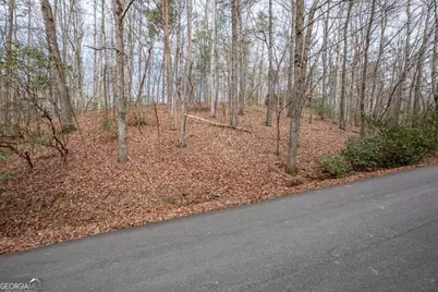 454, 455 Seneca Drive, Ellijay, GA 30540 - Photo 8