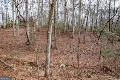 454, 455 Seneca Drive, Ellijay, GA 30540 - Photo 4