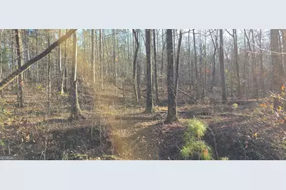 0 Malcom Road, Covington, GA 30014 - Photo 10