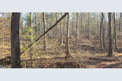 0 Malcom Road, Covington, GA 30014 - Photo 6