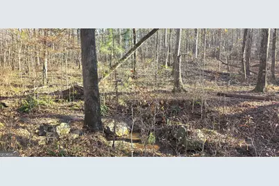 0 Malcom Road, Covington, GA 30014 - Photo 12