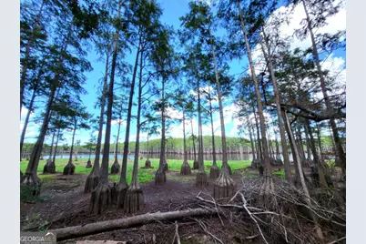 188 Brenda Road, Portal, GA 30450 - Photo 24