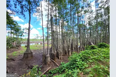 188 Brenda Road, Portal, GA 30450 - Photo 22