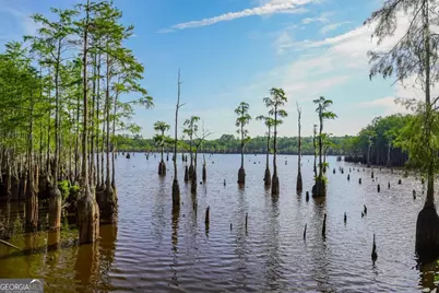 188 Brenda Road, Portal, GA 30450 - Photo 44