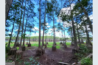 188 Brenda Road, Portal, GA 30450 - Photo 46