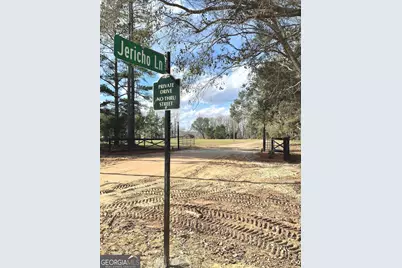 53 Jericho Lane, Brooklet, GA 30415 - Photo 52