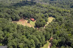 1840 Double Springs Church Rd, Monroe, GA 30656 - Photo 58