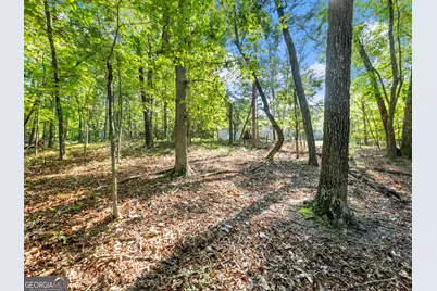 529 Eden Circle, Cleveland, GA 30528 - Photo 48