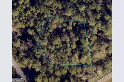 111 Canoe Run, Woodbine, GA 31569 - Photo 2