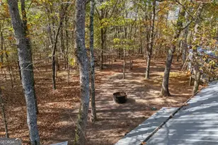 335 Gum Creek Rd, Roopville, GA 30170 - Photo 6