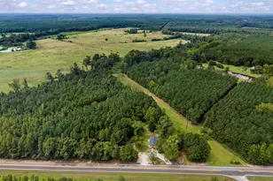 5321 Hwy 15 S, Greensboro, GA 30642 - Photo 46