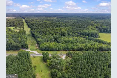 5321 Highway 15 S, Greensboro, GA 30642 - Photo 44