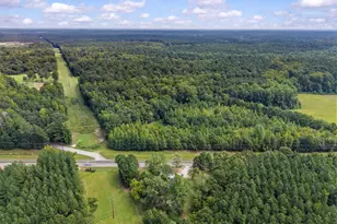 5321 Hwy 15 S, Greensboro, GA 30642 - Photo 44