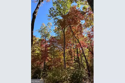 24 Cahill Drive, Andrews, NC 28901 - Photo 14