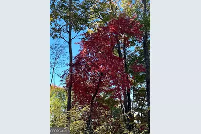 24 Cahill Drive, Andrews, NC 28901 - Photo 10