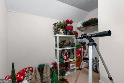 160 Carrington Lane, Brooks, GA 30205 - Photo 54