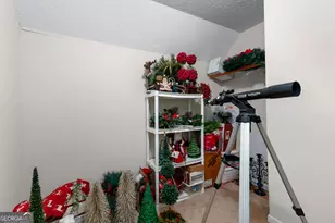 160 Carrington Ln, Brooks, GA 30205 - Photo 54