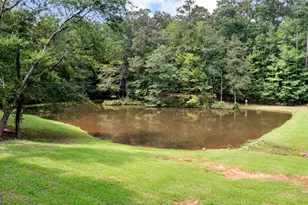 160 Carrington Ln, Brooks, GA 30205 - Photo 70