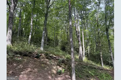 0 Honey Bear, Dillard, GA 30537 - Photo 4