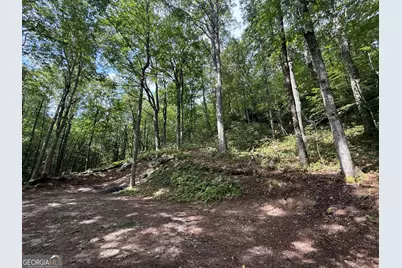 0 Honey Bear, Dillard, GA 30537 - Photo 2