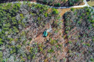 55 Deer Watch Ln, Blue Ridge, GA 30513 - Photo 38