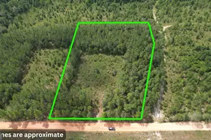 0 Asa Lindsey Rd, Kite, GA 31049 - Photo 1