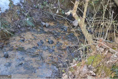 133 Hillandale Street, Cornelia, GA 30531 - Photo 18