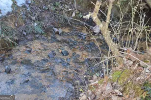 133 Hillandale St, Cornelia, GA 30531 - Photo 18