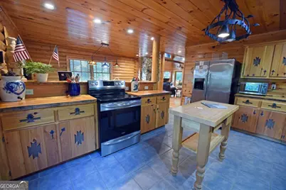 2682 Douthit Road, Mineral Bluff, GA 30559 - Photo 38