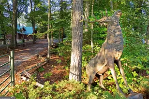 2682 Douthit Rd, Mineral Bluff, GA 30559 - Photo 1