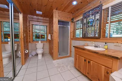 2682 Douthit Road, Mineral Bluff, GA 30559 - Photo 12