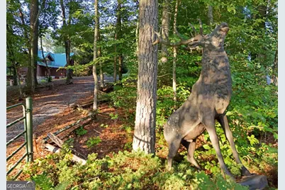 2682 Douthit Road, Mineral Bluff, GA 30559 - Photo 56