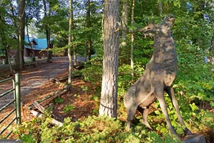 2682 Douthit Rd, Mineral Bluff, GA 30559 - Photo 56