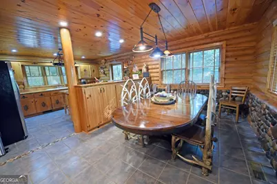 2682 Douthit Road, Mineral Bluff, GA 30559 - Photo 36