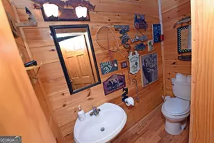 2682 Douthit Rd, Mineral Bluff, GA 30559 - Photo 34