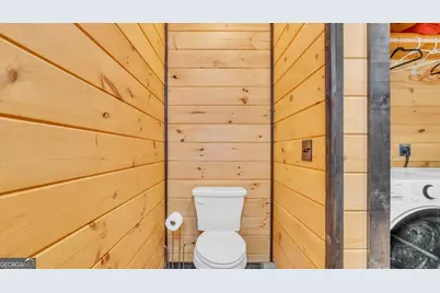 35 Homestead Drive, Mineral Bluff, GA 30559 - Photo 30